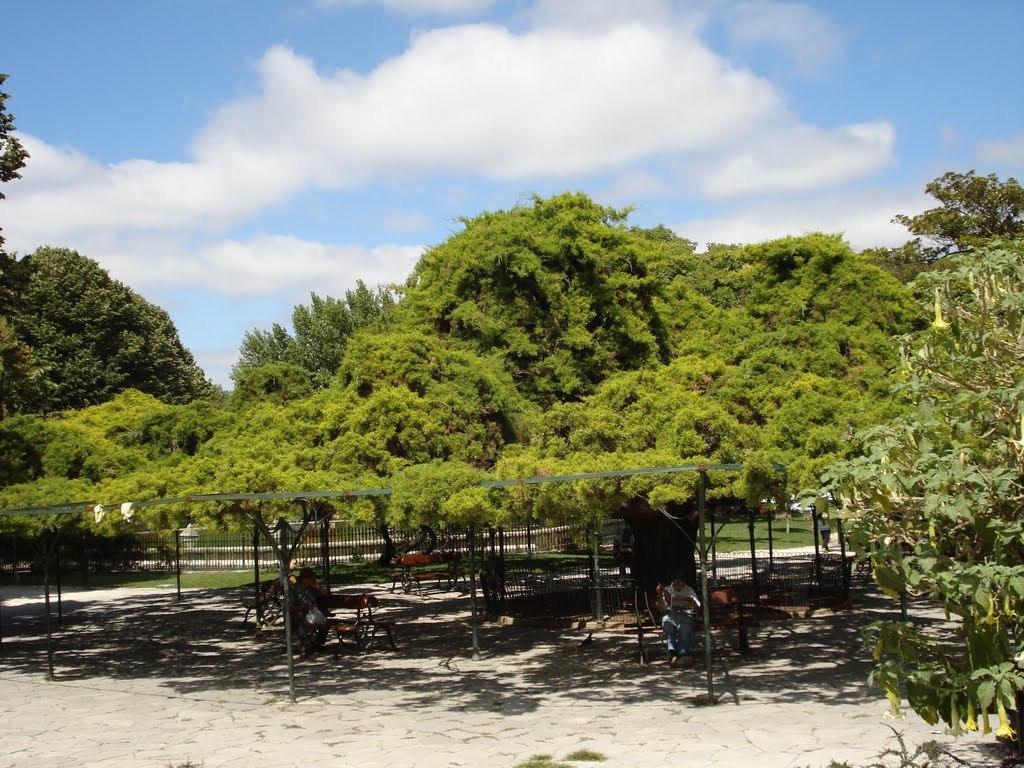 Myplace - Lisbon Principe Real Studio 외부 사진